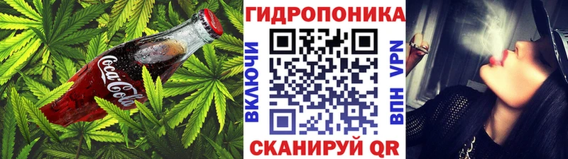 Canna-Cookies конопля  Багратионовск 