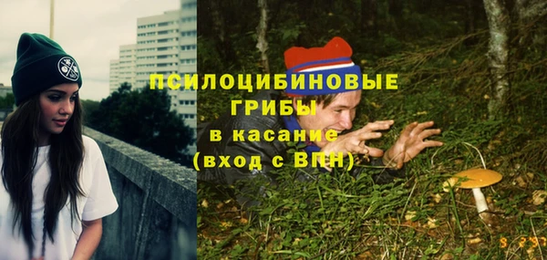 эйфоретик Бежецк